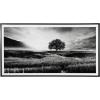 imageSignature Design by Ashley Deborland Modern Framed Pasture Print Wall Art 87 x 46 Inches Black ampamp White