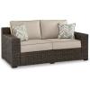 Outdoor Loveseat with Cushion