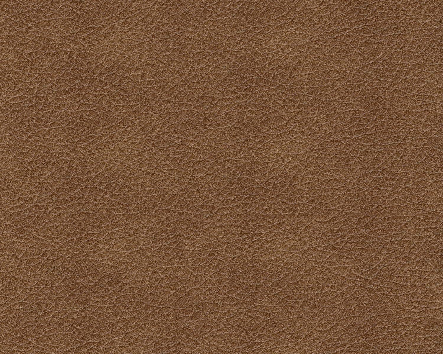 imageSignature Design by Ashley Bolsena Contemporary Leather Match Sofa Dark BrownDark Brown