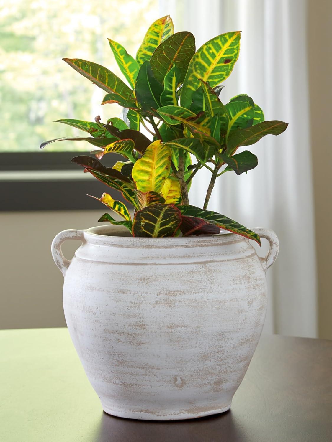 imageSignature Design by Ashley Meadie Casual Indoor Distressed Terra Cotta Vase with Wide Mouth BlackWhite