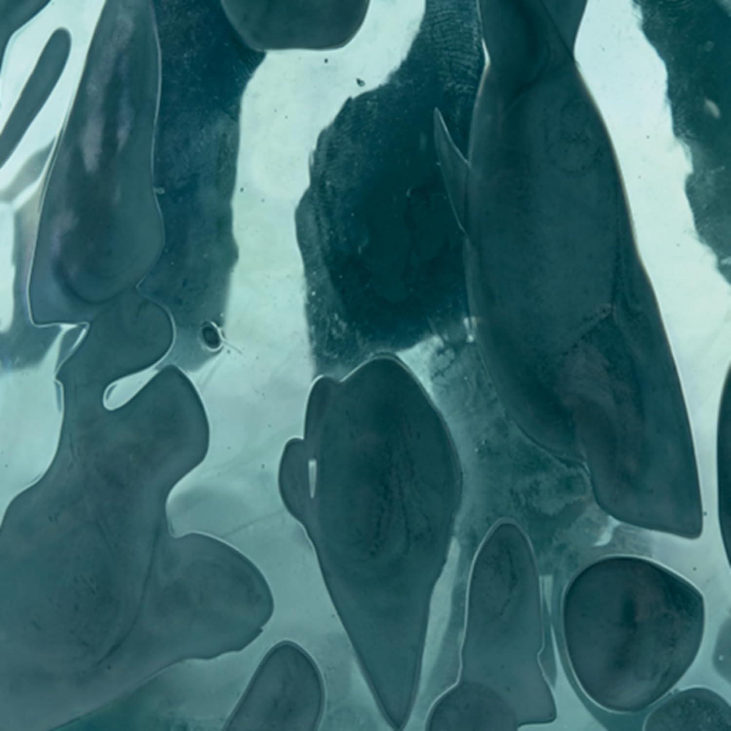 imageSignature Design by Ashley Cartshaw Contemporary Abstract Watertight Glass 1175 Vase GreenGreen