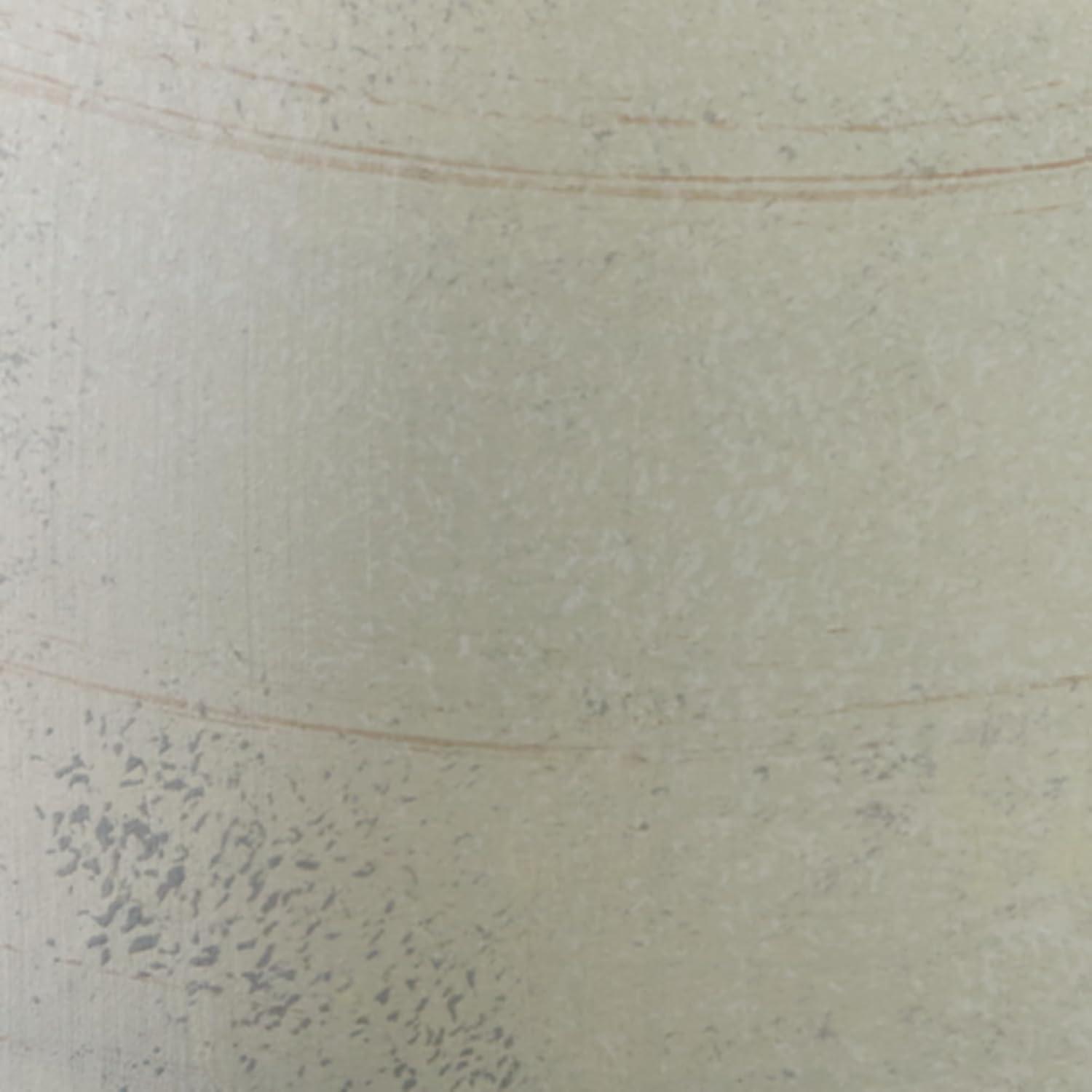 imageSignature Design by Ashley Clayson Vintage Indoor 10 Distressed Ceramic Tabletop Vase Beige amp Light Green10