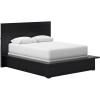 Queen Panel Bed