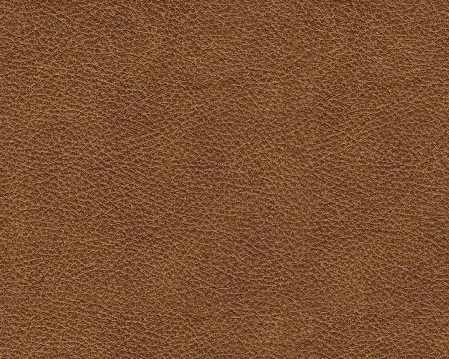 imageSignature Design by Ashley Emilia Modern Modular Leather Match 5Piece Sectional with Loose Back Cushions and 2 Bolster Pillows Light BrownCaramel