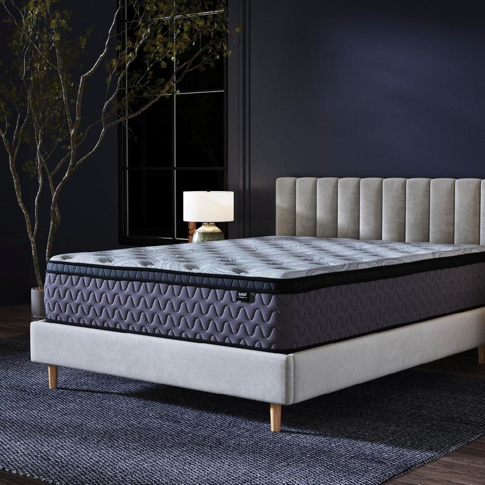 imageSignature Design By Ashley Destin Cove Plush Queen Hybrid Mattress Stretch Knit Cooling Cover Memory Foam Wrapped Coil Unit 60 W x 795 D x 15 H BlueQueen