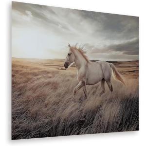 Signature Design by Ashley Errolville Wall Art, Large Print on Glass with Wild Horse, Horizontal Hanging Decor for Living Room or Dining Room Walls, Warm Earth Tones